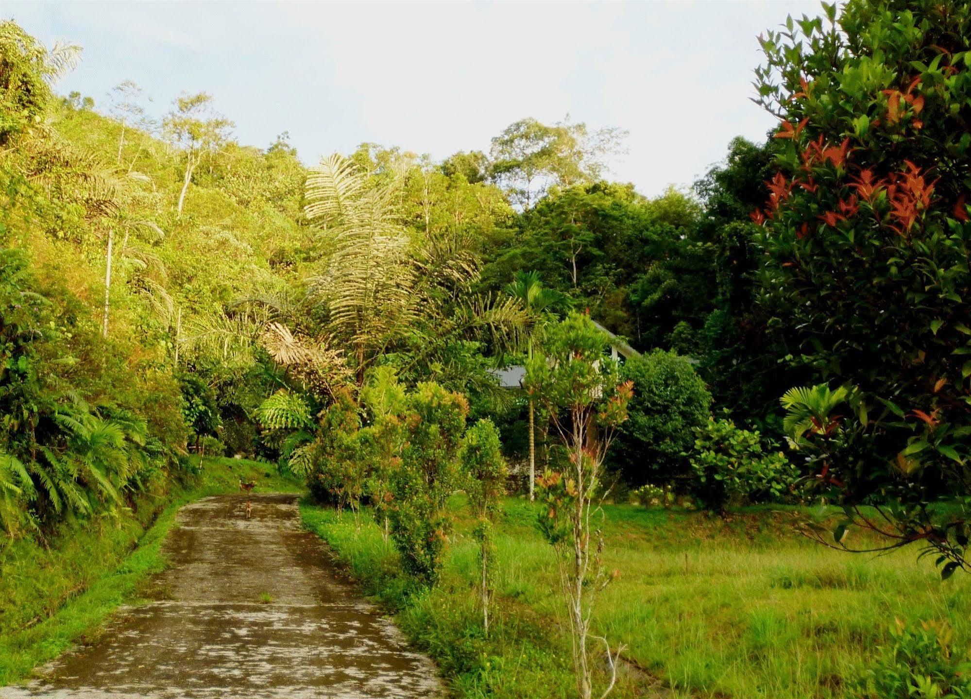 Manis Manis Rooftop Of Borneo Resort Keningau Bagian luar foto